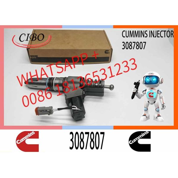 Common Rail Diesel Fuel Injector 3411764 3087733 3087807 For Cummins QSN14 N14