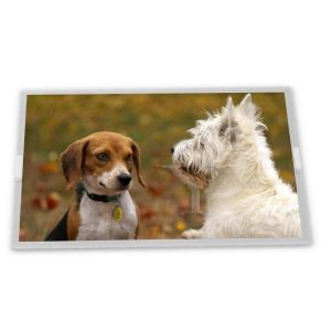 M238HAN02.2 LCD 23.8 inch a-Si TFT-LCD Rectangular Screen Lcd Panel Display