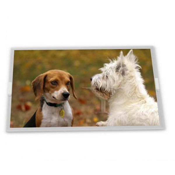 M238HAN02.2 LCD 23.8 inch a-Si TFT-LCD Rectangular Screen Lcd Panel Display