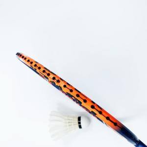 Dmantis Brand Badminton Racket for Training D9