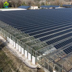 China Modern intelligent Venlo polycarbonate panel multi-span solar photovoltaic greenhouse on sale