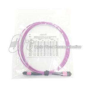 40G 100G OM4 MPO TO MPO Optical Jumper Patch Cord 12 Core