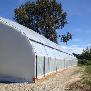 LED Light Secure Greehouse With Automatic Ventilation System And Shading System