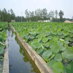 Pvc Geomembrane Sheet 1mm Geo Material Plastic Smooth Geomembrane Hdpe Pond