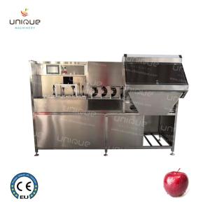 Wholesale Video Technical Support 304 Stainless Steel 750 kg/h Pear Peeler Machine from china suppliers