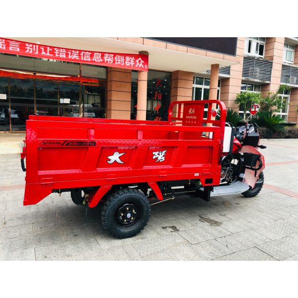 800W DAYANG DY-R1 RUITENG 250cc Cargo Tricycle for Heavy Duty CCC Three Wheels Motorcycle