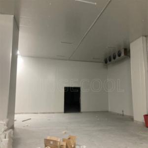 Fireproof Insulation PU/PIR Sandwich Panel for Cold Room/Warehouse/Workshop Home