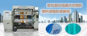 Wholesale Easy tearing line laser cutting machine HS-P20 from china suppliers