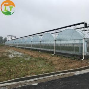 Multi-Span Agricultural Greenhouses Gutter Height for Optimal Temperature