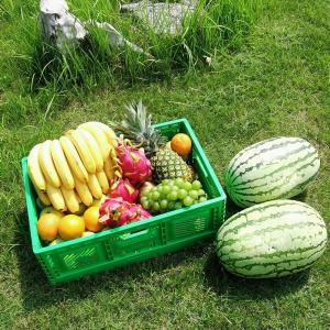 570x370x210mm Small Folding Plastic Fruit Crates Collapsible Agriculture