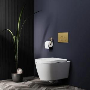 Plastic Compact Concealed Cistern Space Saving For Bathrooms
