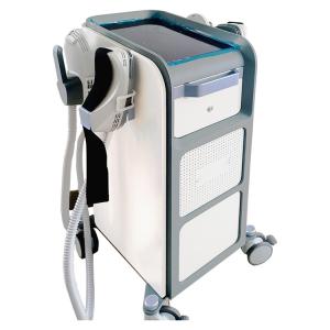 4 Handles Vertical Ems Facial Machine , OEM ems weight loss machine