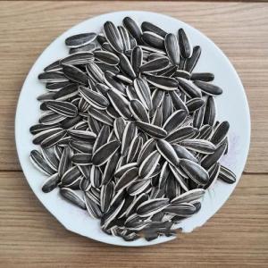 Bulk Inner Mongolia Raw Material Large Type 363/361 Organic Sunflower Seeds