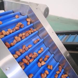 China Precision Elevating Date Quality Assurance With Advanced Dates Sorting Machine on sale
