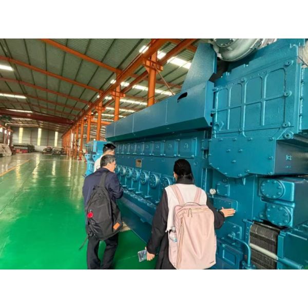 zichai 8300 gas generator spark plug S-R807BEX21-2 original parts fatcory