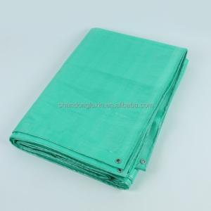 Waterproof and Sun Resistant PE Tarpaulin for Covering Outdoor Items Custom