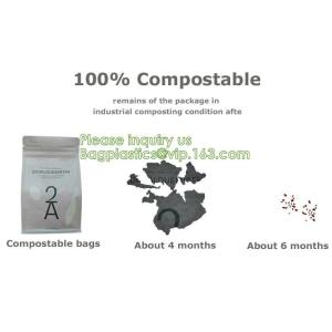Bagease Custom Printed Biodegradable Compostable Pla Kraft Paper Flat Bottom