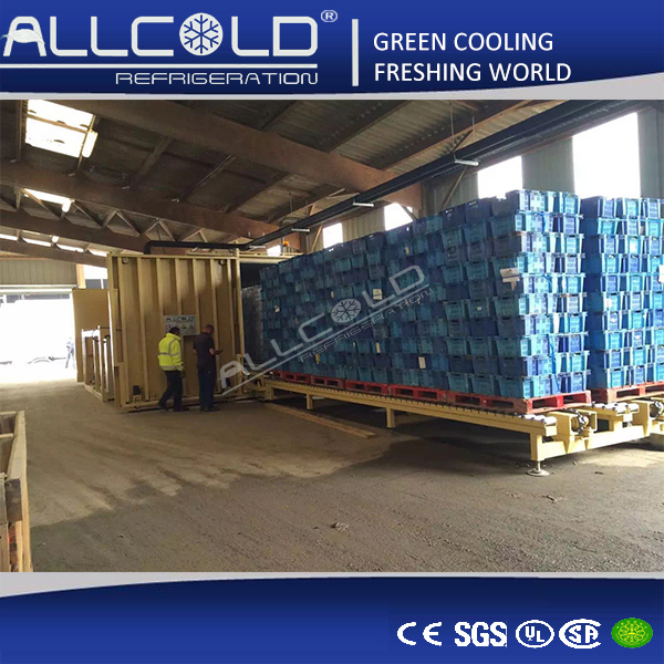 Fast Precooling System Vacuum Coolers