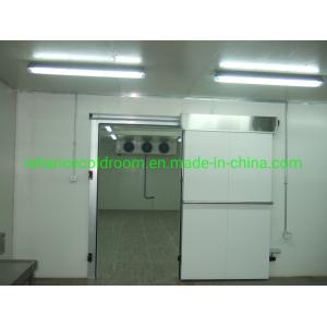 Supermarket Frozen Food Storage Room with -10-0C Temperature and Freon