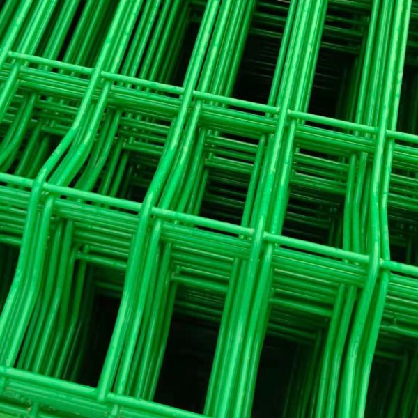 Quality TLSW Welded Wire Mesh Roll Electric Galvanized Holland Mesh Netting for sale