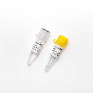 QPCR Hotstart Taq DNA Polymerase RT-PCR Enzyme P1101