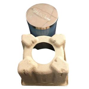 Brown Paper Pulp Moulded Trays Compostable Corrugated Cardboard Trays