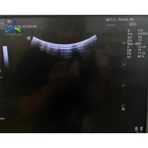 GE 4C Convex Ultrasound Probe Repair Transducer Miantenance
