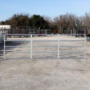 Anti Rust Galvanized 2400x1170mm Livestock Handling Equipment