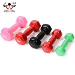 Vinyl Dipping Fitness Equipment Dumbbells With Hexagon Ends 0.5kg-10kg Weight