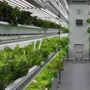 Shipping Container Vertical Farming with Commercial Greenhouse and Multi-Span