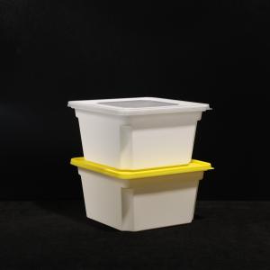 Leak Proof Custom Printed Food Grade Disposable Lunch Box Multipurpose