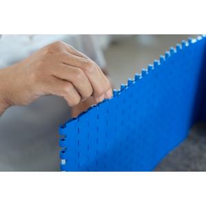 Sem Sea Food Transferring Modular Conveyor Belt