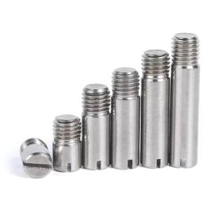 Stainless Steel SS304 SS316 SS316L A2-70 Parallel Pins With External Thread
