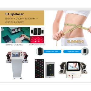 Deep Fat Removal Vertical 5D Lipo Laser With Belt Mitsubishi Lamp 5 Wavelengths