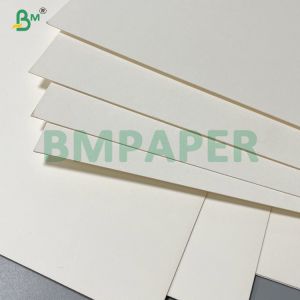 240gsm + 20gsm Biodegradable PLA Coated Cup Base paper in roll