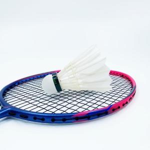 Dmantis D7 Model Wholesale Supply Training Equipment Badminton Racket China
