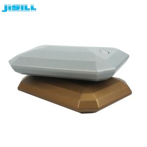 Wholesale Irregular Shape Fan Ice Pack Freezer Ice Blocks Food Safe Plastic Material from china suppliers