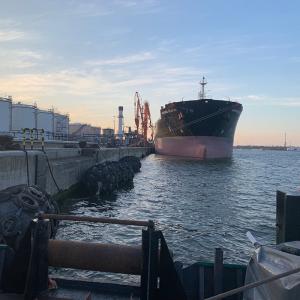 Diameter 500mm-4500mm Yokohama Rubber Fender For Mooring