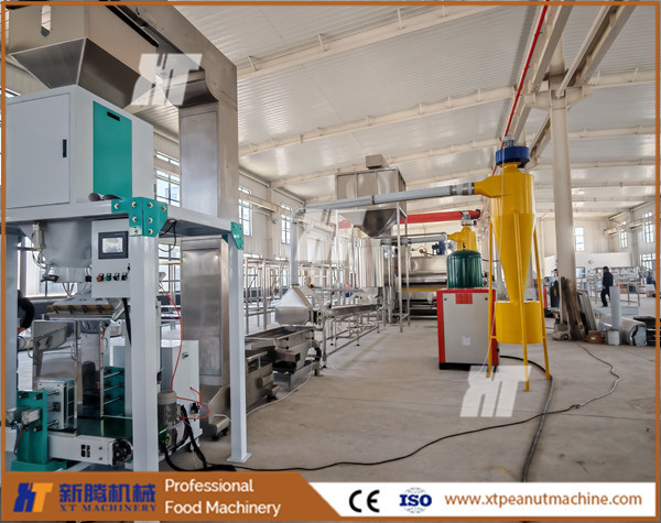 PLC Control Blanched Peanut Processing Line Peanut Roasting Blanching Picking