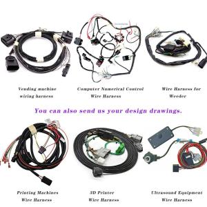 East Asia Electric Golf Cart Wire Harness OEM ODM Compatible with Customer