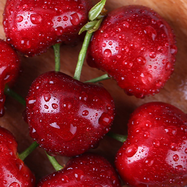 6 Channels Cherries Silver Sorting And Grading Machine 360 Degree Rotational