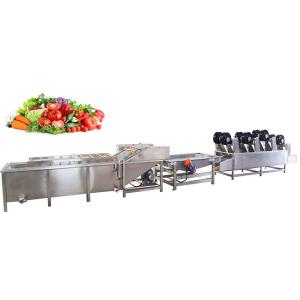 Industrial Fruit Vegetable Processing Machine Automatic 400KG 300-1000kg/h
