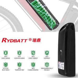 13S5P 48V Electric Motor Battery Pack Li Ion Lithium Lifepo4 Type