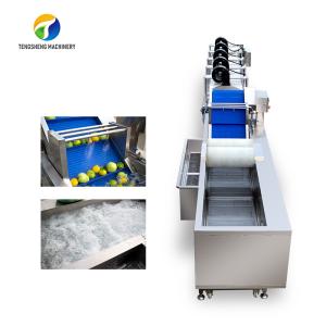 Wholesale Customization Ozone Sterilization Fruit And Vegetable Processing Line Dry Detoxification from china suppliers