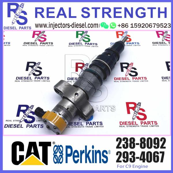 242-0857 Common Rail Diesel Injector 267-9722 235-5261 267-3360 238-8092 For Cat