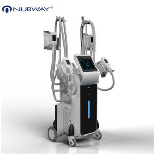 Wholesale beauty machine 2014/Top fat freezing machine/cryolipolysis machine from china suppliers