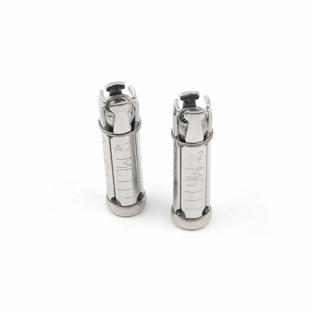 Internal Expansion Bolt M6 for SS304 Stainless Steel Solid Wall and Drywall Anchor