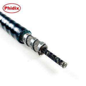Professional Mechanical Control Cable Assembly For Mechanical Starter
