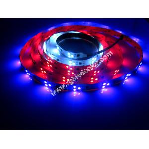 3led pxiel module strip light ws2811
