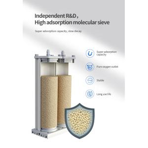 Remote Control Medical Oxygen Generator With Nebulizer For Patients